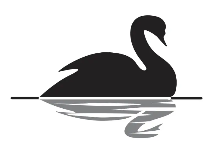 Imagen de un cisne negro