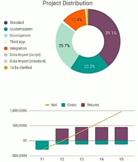 Project distribution pie chart and 5-year forecast